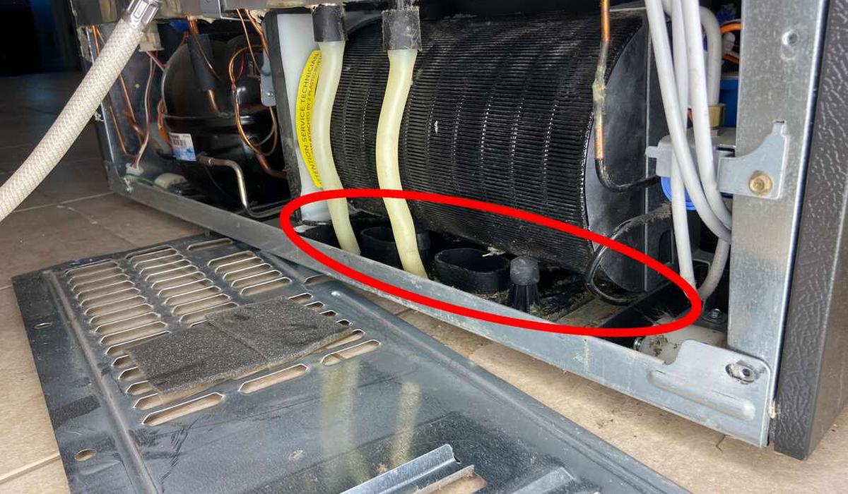 Larger compressor dehumidifier in a bedroom corner